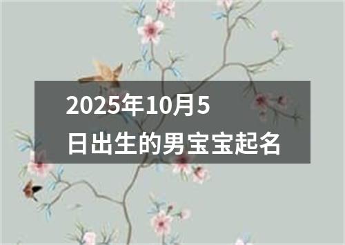 2025年10月5日出生的男宝宝起名