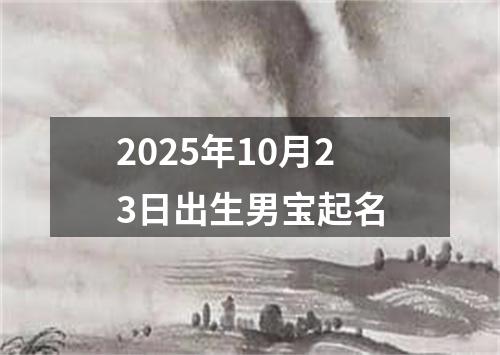 2025年10月23日出生男宝起名