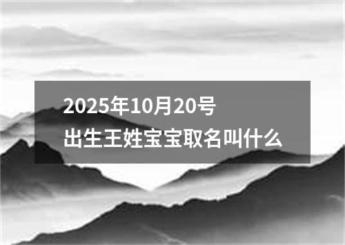 2025年10月20号出生王姓宝宝取名叫什么