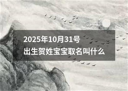 2025年10月31号出生贺姓宝宝取名叫什么