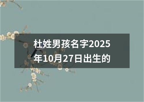 杜姓男孩名字2025年10月27日出生的