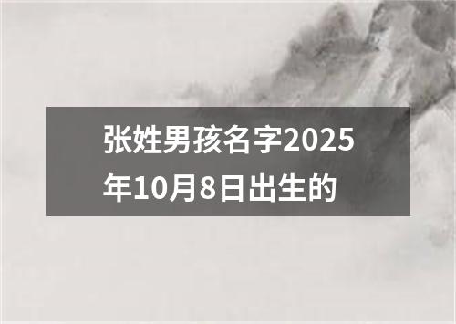张姓男孩名字2025年10月8日出生的