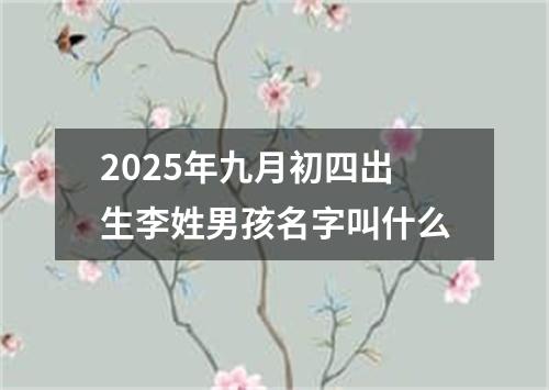 2025年九月初四出生李姓男孩名字叫什么