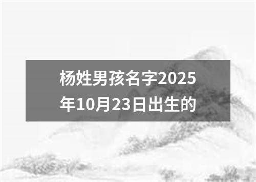 杨姓男孩名字2025年10月23日出生的