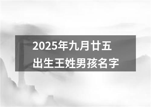2025年九月廿五出生王姓男孩名字
