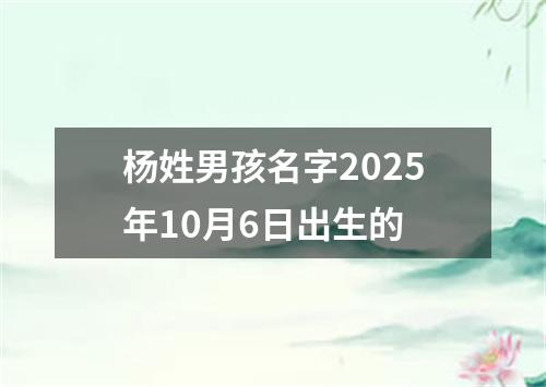 杨姓男孩名字2025年10月6日出生的