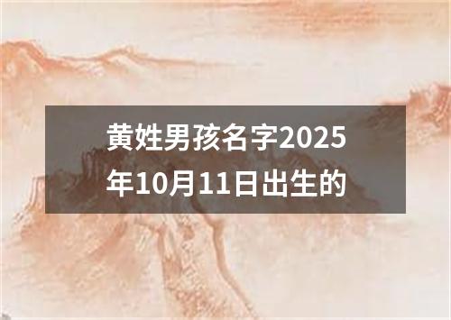 黄姓男孩名字2025年10月11日出生的