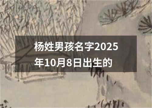 杨姓男孩名字2025年10月8日出生的