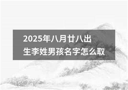 2025年八月廿八出生李姓男孩名字怎么取