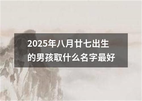 2025年八月廿七出生的男孩取什么名字最好