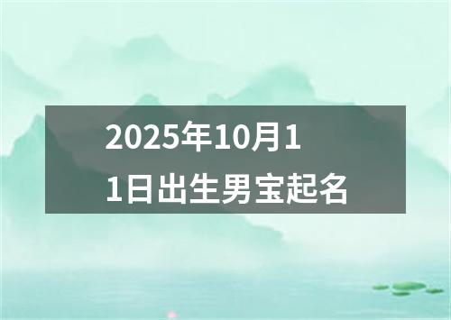2025年10月11日出生男宝起名
