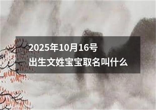 2025年10月16号出生文姓宝宝取名叫什么