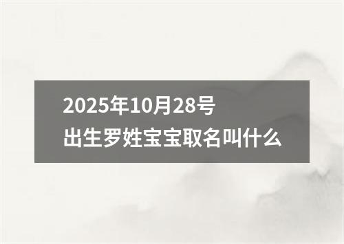 2025年10月28号出生罗姓宝宝取名叫什么