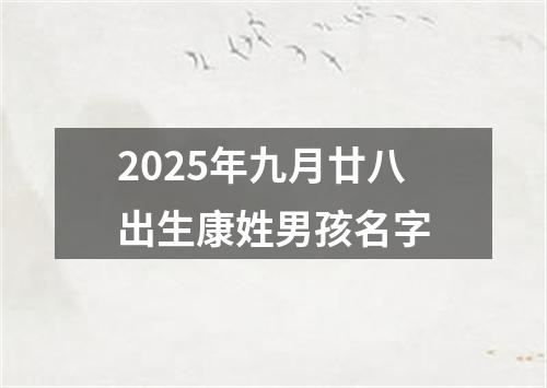 2025年九月廿八出生康姓男孩名字