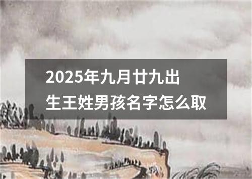 2025年九月廿九出生王姓男孩名字怎么取