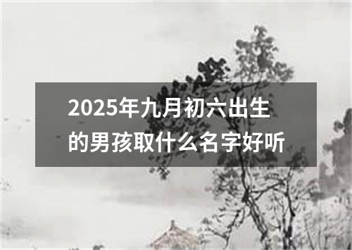 2025年九月初六出生的男孩取什么名字好听