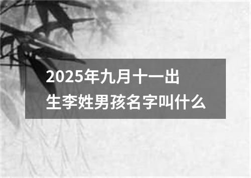 2025年九月十一出生李姓男孩名字叫什么
