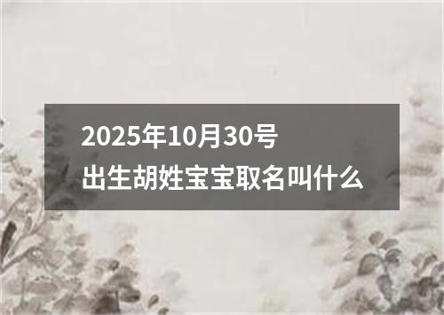 2025年10月30号出生胡姓宝宝取名叫什么