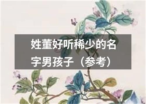 姓董好听稀少的名字男孩子（参考）