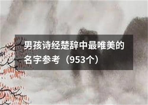 男孩诗经楚辞中最唯美的名字参考（953个）