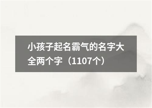 小孩子起名霸气的名字大全两个字（1107个）