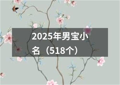 2025年男宝小名（518个）