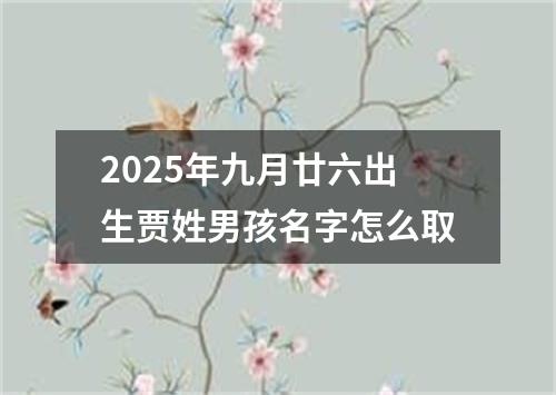 2025年九月廿六出生贾姓男孩名字怎么取