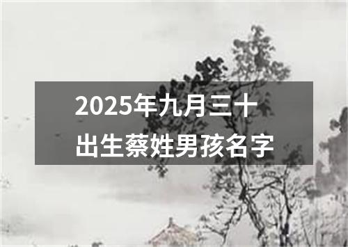 2025年九月三十出生蔡姓男孩名字