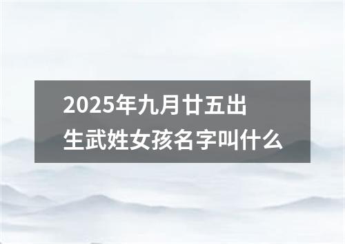 2025年九月廿五出生武姓女孩名字叫什么