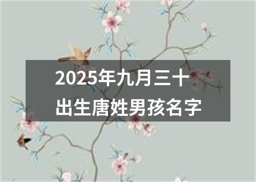 2025年九月三十出生唐姓男孩名字