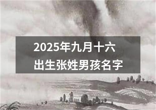 2025年九月十六出生张姓男孩名字