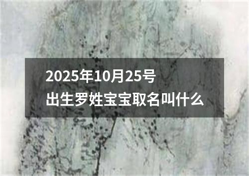 2025年10月25号出生罗姓宝宝取名叫什么