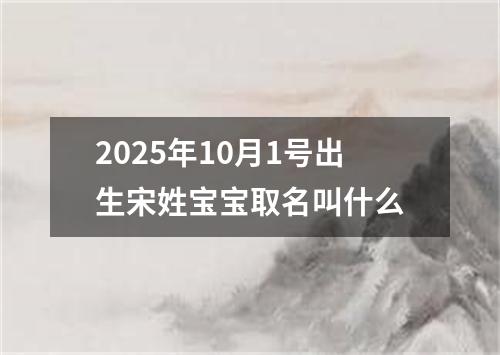 2025年10月1号出生宋姓宝宝取名叫什么