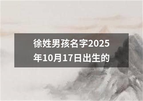 徐姓男孩名字2025年10月17日出生的