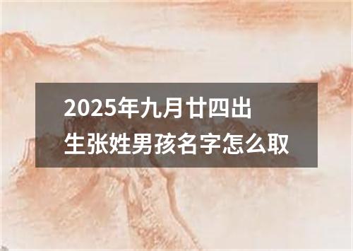 2025年九月廿四出生张姓男孩名字怎么取