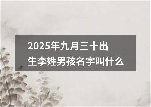 2025年九月三十出生李姓男孩名字叫什么