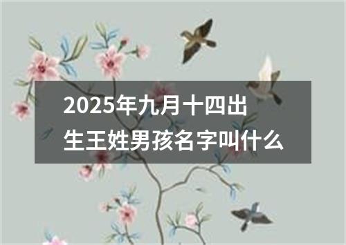2025年九月十四出生王姓男孩名字叫什么