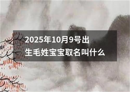 2025年10月9号出生毛姓宝宝取名叫什么