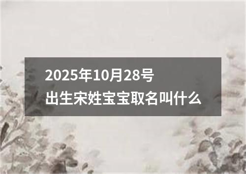 2025年10月28号出生宋姓宝宝取名叫什么