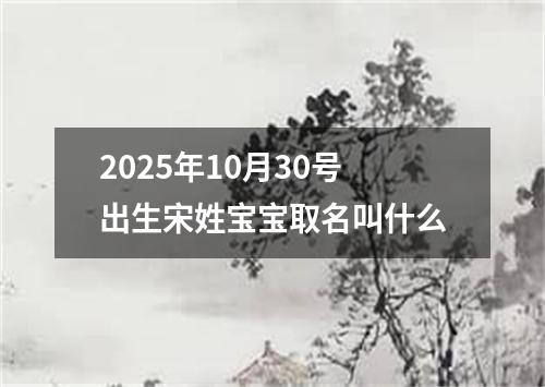 2025年10月30号出生宋姓宝宝取名叫什么