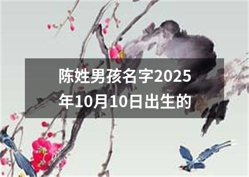 陈姓男孩名字2025年10月10日出生的