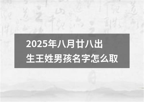 2025年八月廿八出生王姓男孩名字怎么取