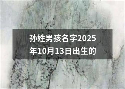 孙姓男孩名字2025年10月13日出生的