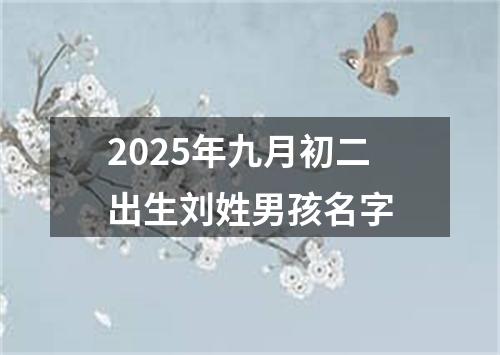 2025年九月初二出生刘姓男孩名字