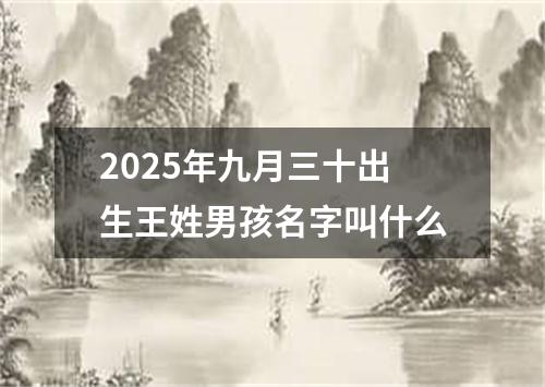 2025年九月三十出生王姓男孩名字叫什么