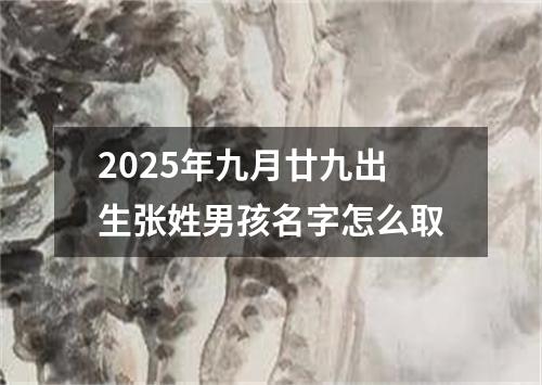 2025年九月廿九出生张姓男孩名字怎么取