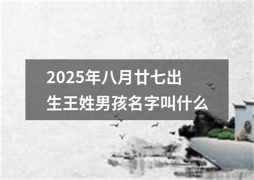 2025年八月廿七出生王姓男孩名字叫什么