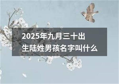 2025年九月三十出生陆姓男孩名字叫什么