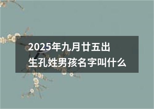 2025年九月廿五出生孔姓男孩名字叫什么
