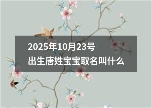 2025年10月23号出生唐姓宝宝取名叫什么